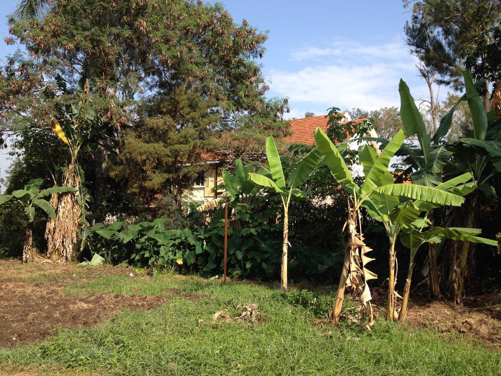 Bikeventures House Uganda Hotel Jinja Exterior photo
